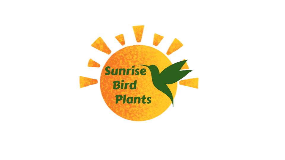 Sunrise Bird Plants